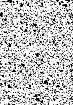 Appaloosa© Mural Wallpaper In Black + White -Drop It Modern Sales APPALOOSA MURAL BLACK WHITE