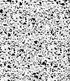 Appaloosa© Mural Wallpaper In Black + White -Drop It Modern Sales APPALOOSA MURAL BLACK WHITE ffcd0072 ddcd 4faa 81ba f5008832ccb2