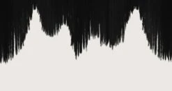 Wavelength© Mural Wallpaper In Black -Drop It Modern Sales BLACK 28
