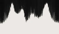 Wavelength© Mural Wallpaper In Black -Drop It Modern Sales BLACK 52