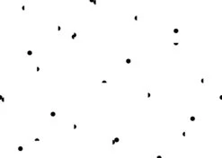 Mezzaluna© Wallpaper In Black + White -Drop It Modern Sales Black White 06 28