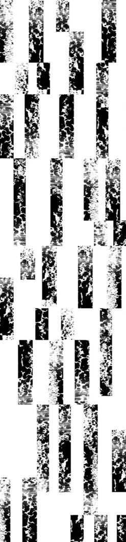 Corral© Wallpaper In Black + White -Drop It Modern Sales CORRAL BLACK WHITE 9b3e61c6 aa76 427d a473 bf533dbc2460