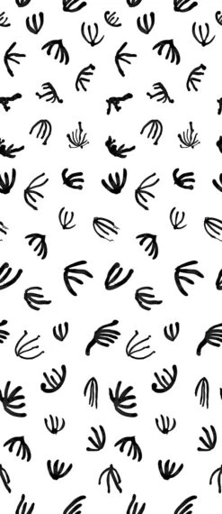 Coral© Wallpaper In Black + White -Drop It Modern Sales Coral Black White 21a3d438 e05e 4f7d a784 12b5cf2fec5d