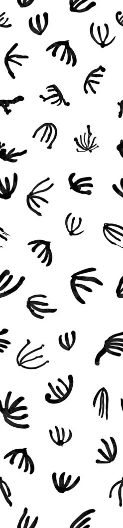 Coral© Wallpaper In Black + White -Drop It Modern Sales Coral Black White c2afa736 20b5 4175 91f6 d17bc5443b19