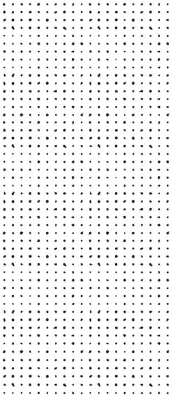 Dotted Line© Wallpaper In Black + White -Drop It Modern Sales DottedLine Black White b8c328ca 7a03 45e1 8eef 3d0a76f2bae6