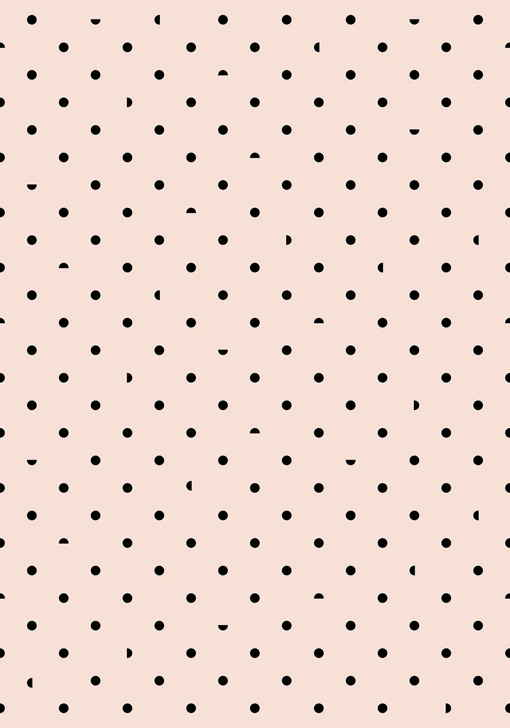 Pretty Woman© Wallpaper In Flamingo + Black 6 Pretty Woman© Wallpaper In Flamingo + Black - Image 6