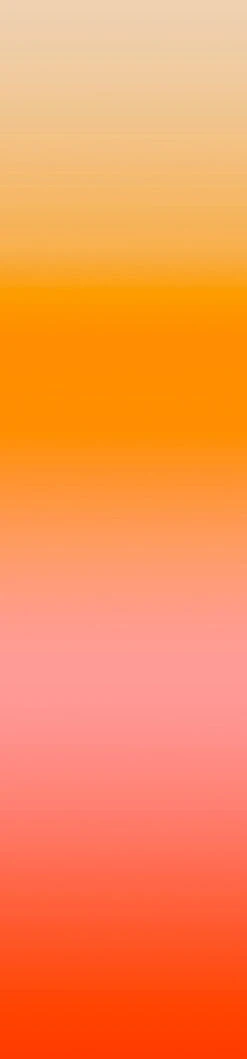 Rey© Wallpaper In Golden State -Drop It Modern Sales GoldenState