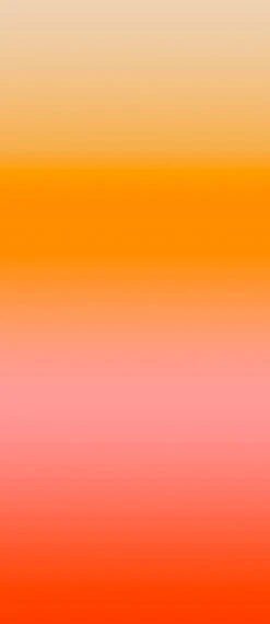 Rey© Wallpaper In Golden State -Drop It Modern Sales GoldenState 65f6de0f 4797 4194 9158 f0a0dbcdc5f7