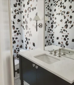 Kitten© Wallpaper In Blush -Drop It Modern Sales IMG 1488