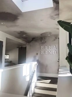 Cumulus© Mural Wallpaper In Grey -Drop It Modern Sales IMG 3422edit