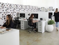 Kitten© Wallpaper In Blush -Drop It Modern Sales IMG 5970