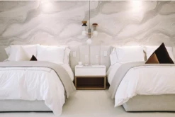 Modern Art© Mural Wallpaper In Sage -Drop It Modern Sales IMG 6568