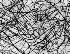 Lady Luck© Mural Wallpaper In Black + White -Drop It Modern Sales LADYLUCK BLACK WHITE e6abbf33 1dfd 4290 b971 f6aa2a2478a1