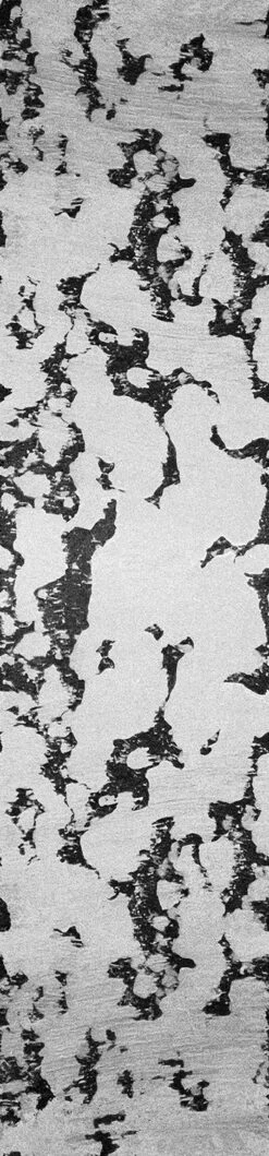 Tumbleweed© Wallpaper In Black + White -Drop It Modern Sales TUMBLEWEED BLACK WHITE 20f98900 9373 49ca b31d 0900e3280f40