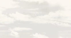 Big Sky© Mural Wallpaper In Boston -Drop It Modern Sales big sky boston diy28