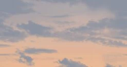 Big Sky© Mural Wallpaper In Dallas -Drop It Modern Sales big sky dallas diy28