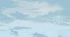 Big Sky© Mural Wallpaper In Laguna -Drop It Modern Sales big sky laguna diy28