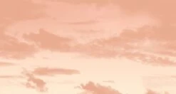 Big Sky© Mural Wallpaper In Miami -Drop It Modern Sales big sky miami diy28