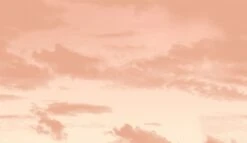 Big Sky© Mural Wallpaper In Miami -Drop It Modern Sales big sky miami diy52