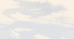 Big Sky© Mural Wallpaper In Monticeto -Drop It Modern Sales big sky monticeto diy28