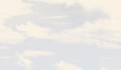 Big Sky© Mural Wallpaper In Monticeto -Drop It Modern Sales big sky monticeto diy52