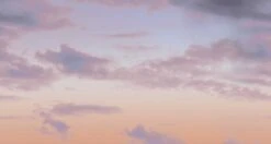 Big Sky© Mural Wallpaper In Portland -Drop It Modern Sales big sky portland diy28