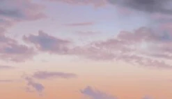 Big Sky© Mural Wallpaper In Portland -Drop It Modern Sales big sky portland diy52