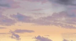 Big Sky© Mural Wallpaper In Santa Fe -Drop It Modern Sales big sky santa fe diy28