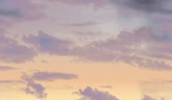 Big Sky© Mural Wallpaper In Santa Fe -Drop It Modern Sales big sky santa fe diy52