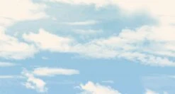 Big Sky© Mural Wallpaper In Los Angeles -Drop It Modern Sales big sky st. paul diy28