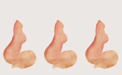 Body Paint© Mural Wallpaper -Drop It Modern Sales body paint file