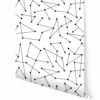Dot To Dot© Wallpaper In Black + White