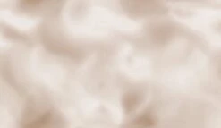 Encore© Mural Wallpaper In Sand Dollar -Drop It Modern Sales electricity sand dollar diy 52