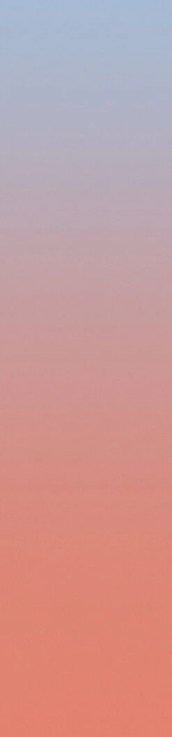 Evaporate© Wallpaper In Tropical -Drop It Modern Sales evaporate tropical diy 28