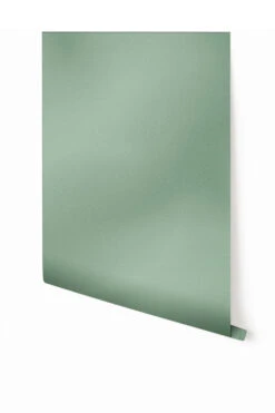 Galaxy© Mural Wallpaper In Conifer