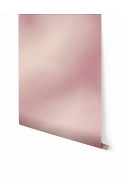 Galaxy© Mural Wallpaper In English Rose