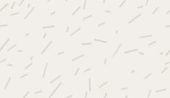 Ziti© Mural Wallpaper In Grey -Drop It Modern Sales ziti grey diy52 28a259dd 548f 44c0 8347 f22f994a9fcb