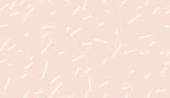 Ziti© Mural Wallpaper In Pink -Drop It Modern Sales ziti pink diy52 280cdd5d ac04 4c97 b217 539898caeff7